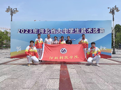 武术比赛